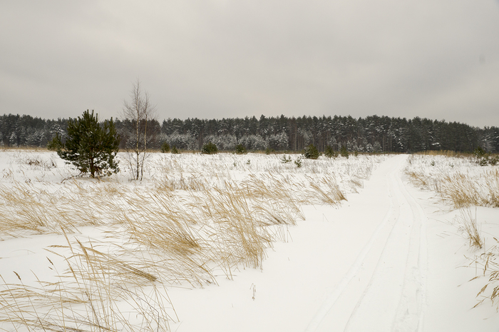 4213829__DSC9625 (700x465, 275Kb)