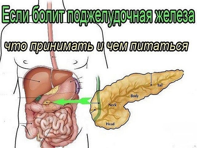 image (1) (640x480, 80Kb)