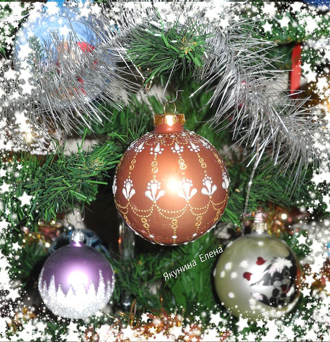 DSCN7873 (674x700, 646Kb)