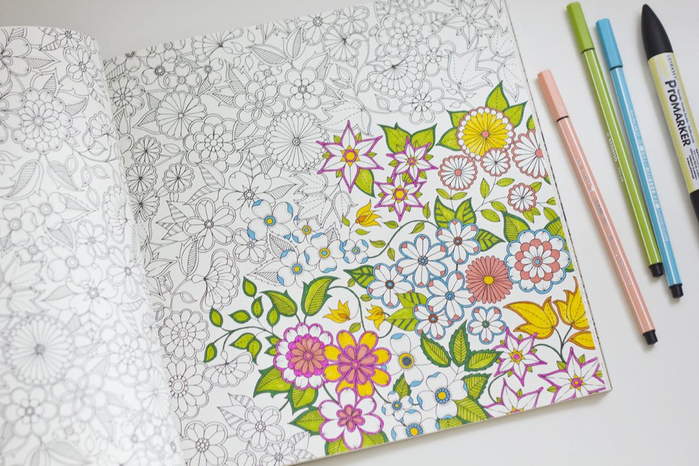 Secret_Garden_An_Inky_Treasure_Hunt_and_Coloring_Book_1_3_1024x1024 (700x466, 363Kb)