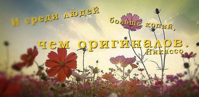 viskazivaniya-0032 (700x343, 246Kb)