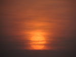  DSCN9236 (700x525, 246Kb)