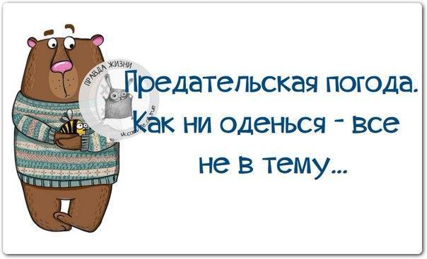 Приколы про погоду в картинках с надписями