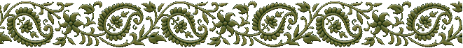 137939306_4003 (700x69, 25Kb)
