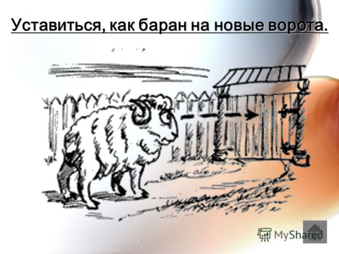6098670_foto5_vorota_i_baran (700x525, 54Kb)