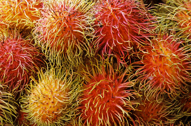 3288052_rambutan_1 (640x424, 223Kb)
