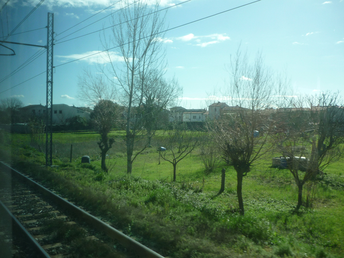 P1200571 (700x525, 456Kb)