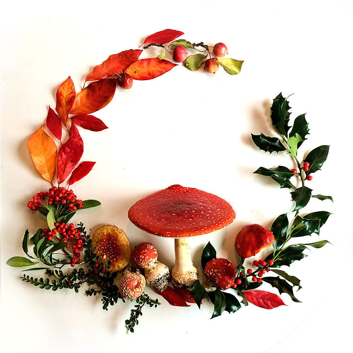 FloraForager-toadstool-wreath-584b37eb15f01__700 (700x700, 104Kb)