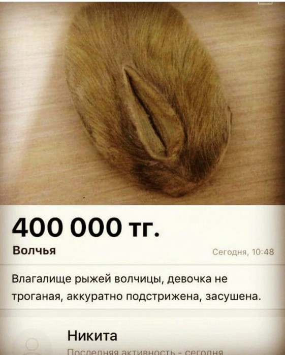 10958685 (561x700, 74Kb)