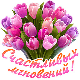 image (45) (256x256, 95Kb)