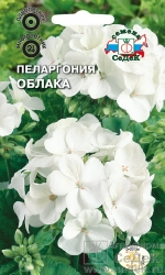 pelargoniya_oblaka (150x250, 51Kb)