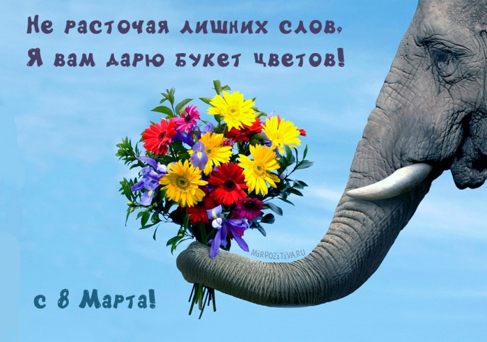 а знаете почему женский день 8 числа. Смотреть фото а знаете почему женский день 8 числа. Смотреть картинку а знаете почему женский день 8 числа. Картинка про а знаете почему женский день 8 числа. Фото а знаете почему женский день 8 числа