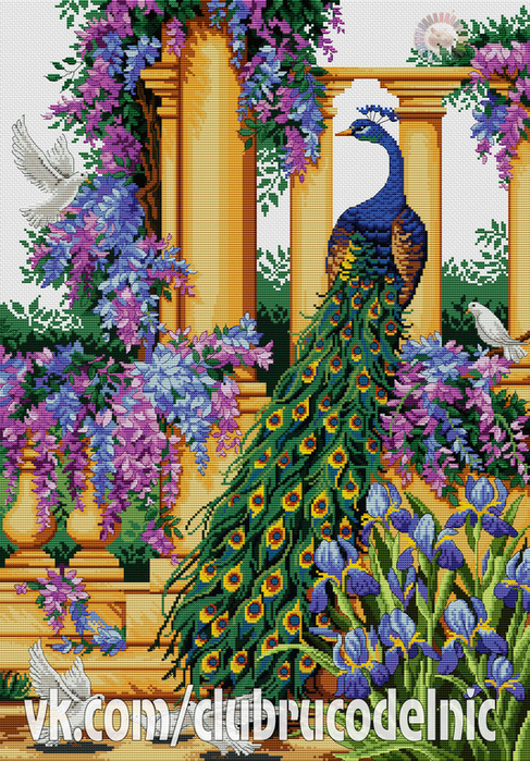 Peacock Elegance (487x700, 688Kb)