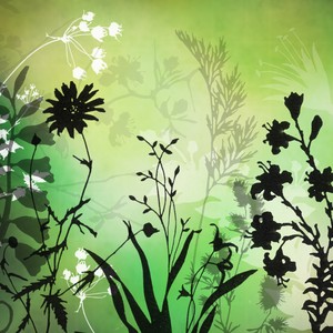 4814391_plantsfreebrushes_normal (300x300, 36Kb)