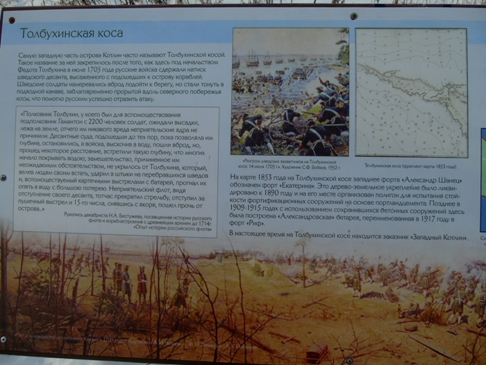 DSC03575 (700x525, 377Kb)