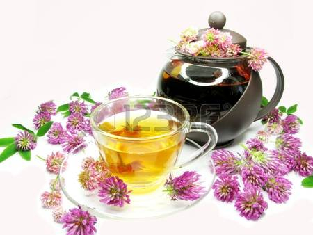 11761940-травяной-цветочный-чай-с-клевера-розовыми-цветами (450x338, 109Kb)