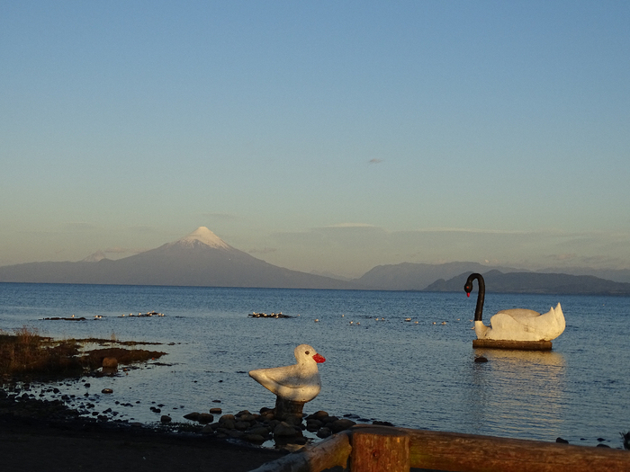 DSC04771 (700x525, 309Kb)