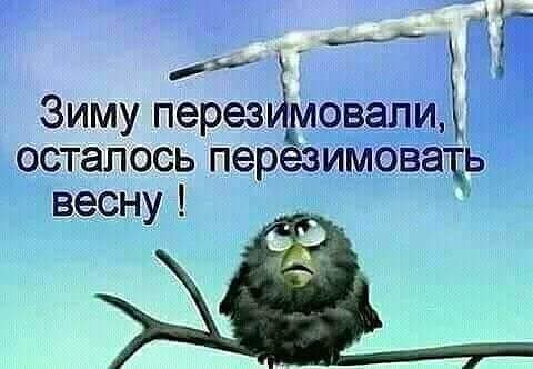   (480x332, 30Kb)
