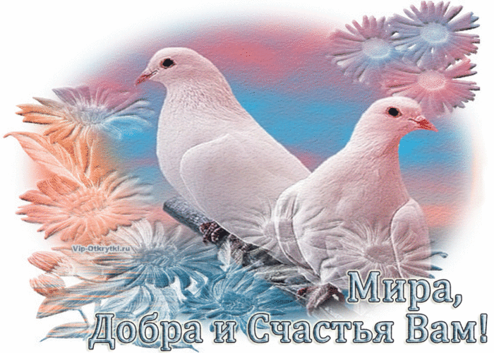 mira-dobra-i-schastya-vam-vip-otkrytki.ru_.gif.pagespeed.ce.WGT2XMlLFf (700x500, 854Kb)