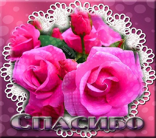 image (1) (540x480, 280Kb)