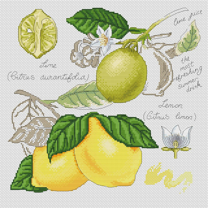 Lemon (2) (700x700, 654Kb)