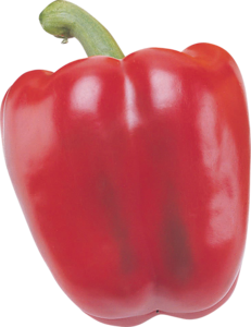 0_18dd80_1cb6373b_M (231x300, 84Kb)