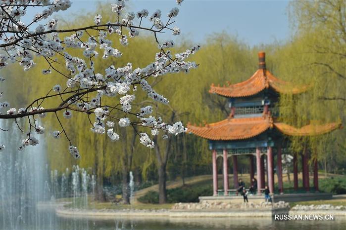https://img0.liveinternet.ru/images/attach/d/0/141/299/141299728_5031314_fc924868458542c3a6d89b699e59d4d1.jpg