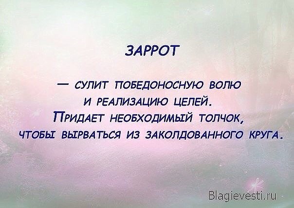 5839806_image_41_1_ (604x427, 58Kb)