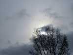 IMG_5161 (700x525, 201Kb)