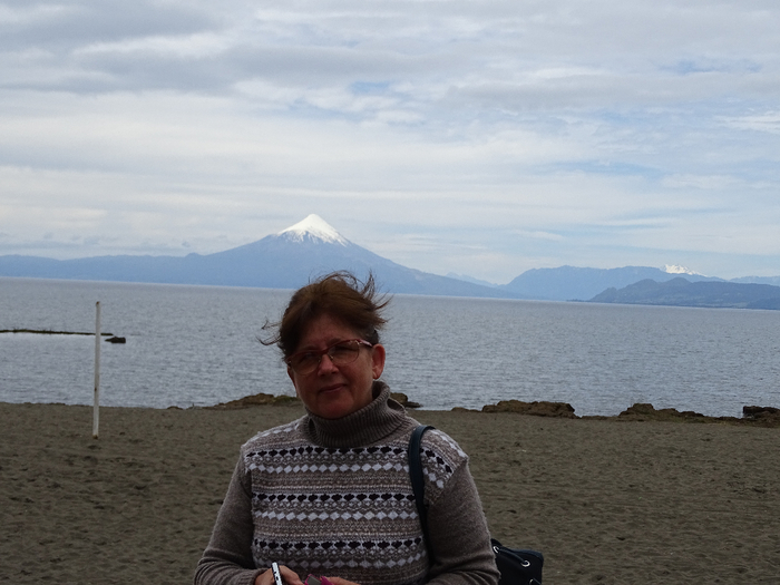 DSC04785 (700x525, 311Kb)