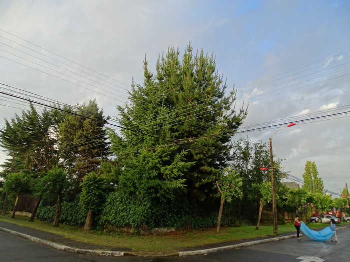 DSC04886 (700x525, 456Kb)