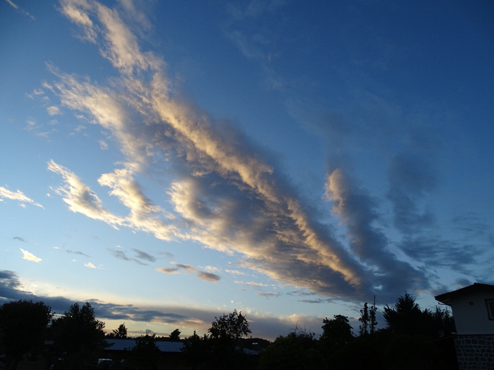 DSC04915 (700x525, 316Kb)