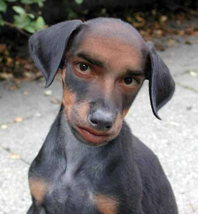 1 апреля 3 (400x432, 82Kb)