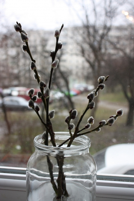 4052195_IMG_7322_1_ (465x700, 193Kb)