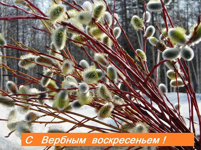 112016708_getImageCAZ345DD (640x480, 106Kb)