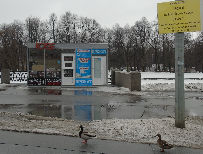 DSC01142 (700x532, 360Kb)