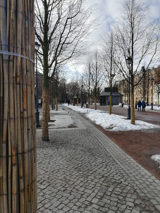 IMG_20180401_134944 (525x700, 456Kb)