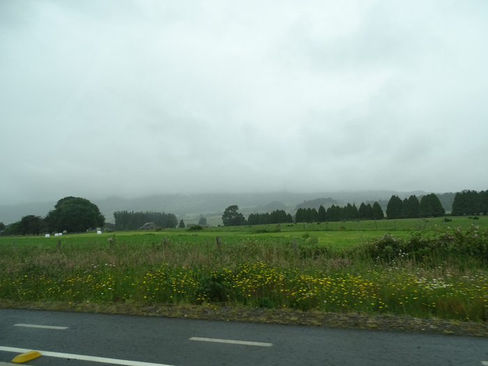 DSC05068 (700x525, 274Kb)