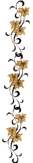 2332 (65x319, 22Kb)