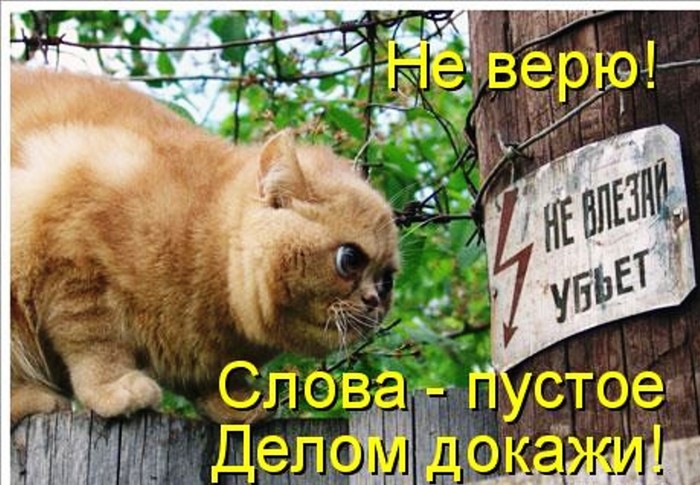  .  (700x485, 110Kb)