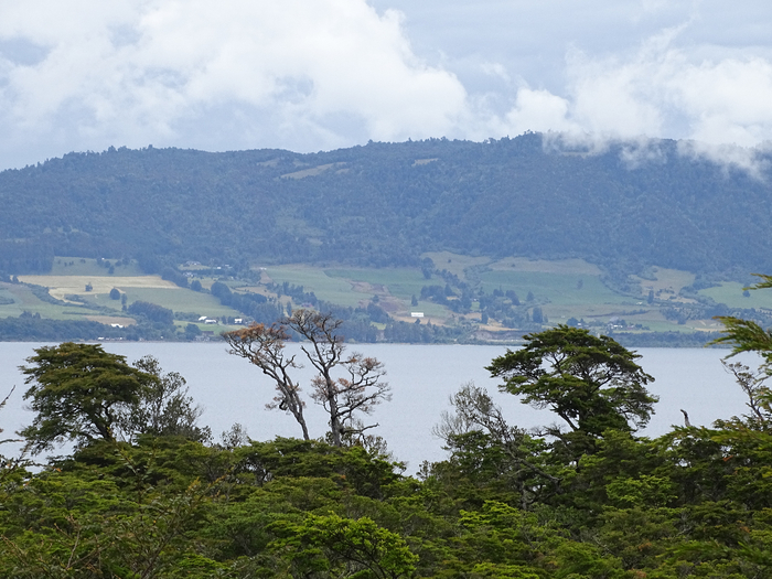 DSC05135 (700x525, 427Kb)