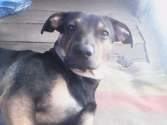 IMG1015A (640x480, 194Kb)