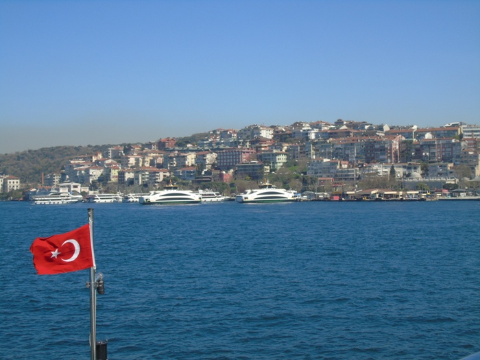 DSC01706 (700x525, 317Kb)