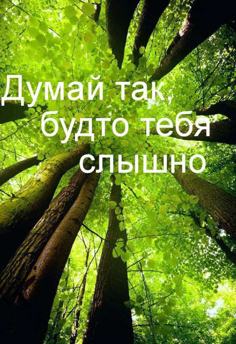 EzvQP6SxGEQ (480x700, 487Kb)