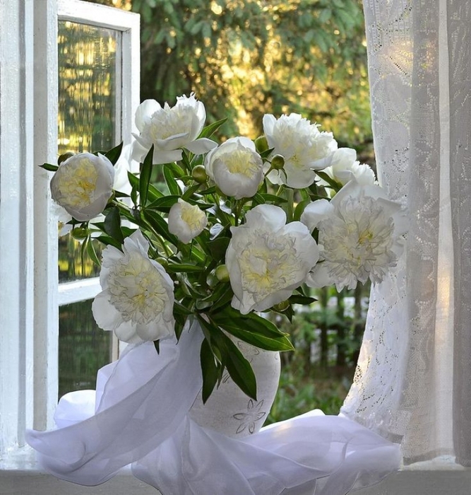 GP_PHOTO_W800_vWhdy4QBZbI (667x700, 330Kb)