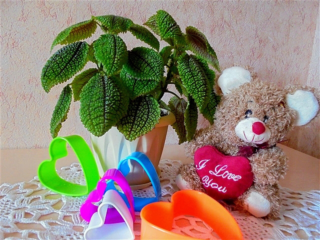 9cd8396f86cc4c10bfd2ca4ba5ce804f_big (640x480, 412Kb)