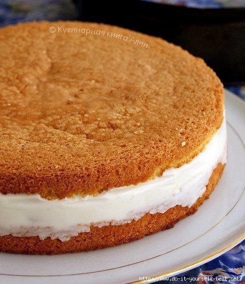 58gDuefarAE (500x578, 176Kb)
