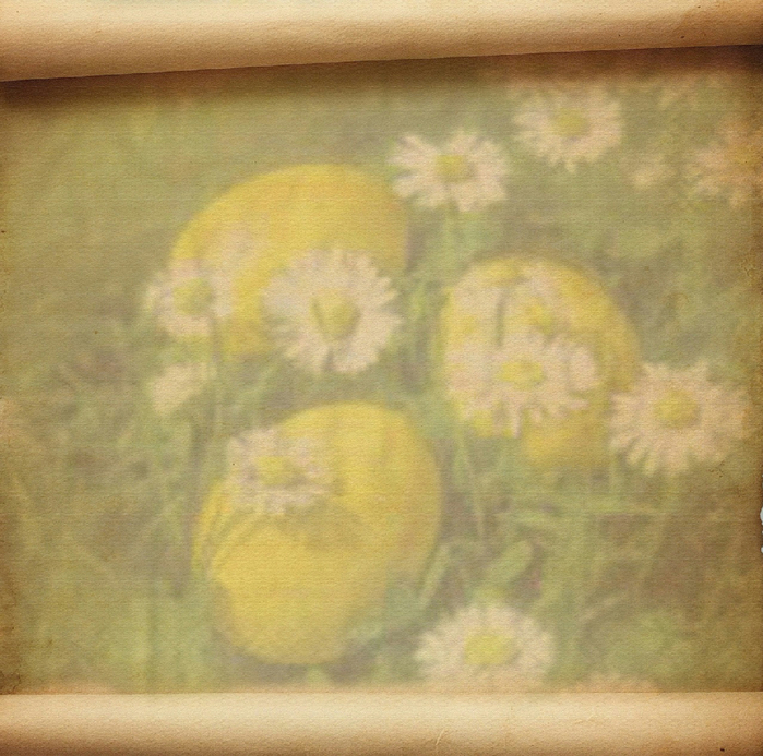 0_a97ee_daf61df5_orig (700x693, 500Kb)