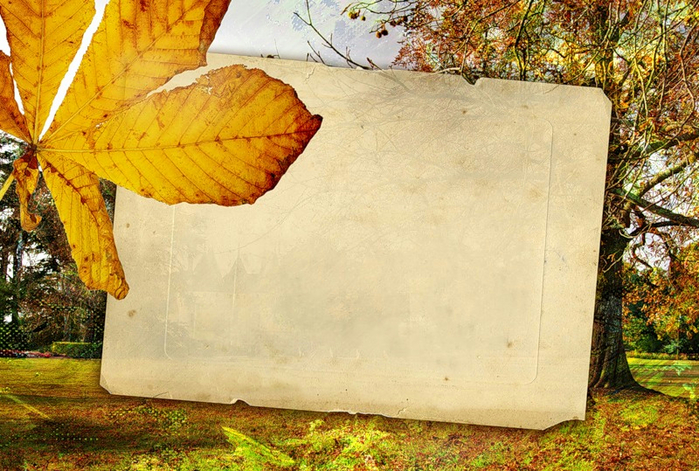 0_b0c01_353b90b1_orig (700x471, 485Kb)
