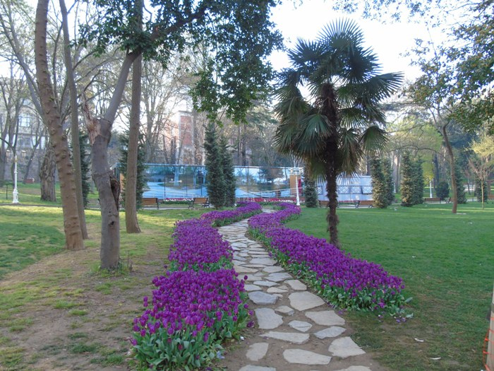 DSC02254 (700x525, 480Kb)